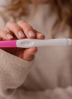 fertilização humana